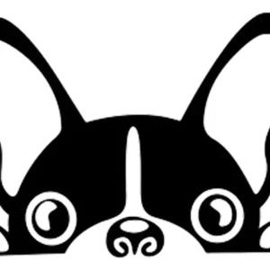 calco autoadhesivo bulldog